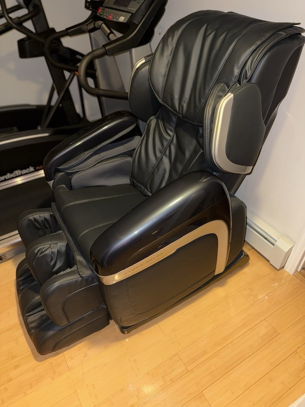 Fujispa Cyber Relax Massage Chair