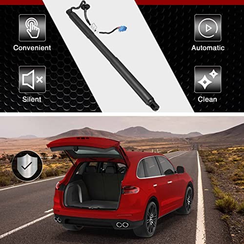 Mercedes Rear Right Tailgate Hatch Power Lift Struts Replacement gallery