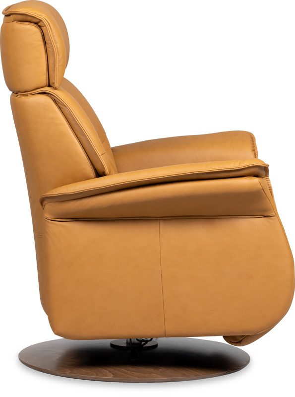 IMG Sedona Ergo Lift Chair Recliner - XL Relaxer - 2 motor Trend Nature Leather gallery