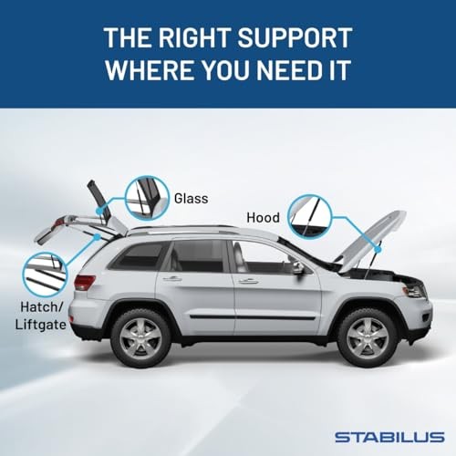 Qty (2) Stabilus 3B-273695 Fits RX350 RX450h 2010-15 Liftgate Lift Pack of 2 gallery