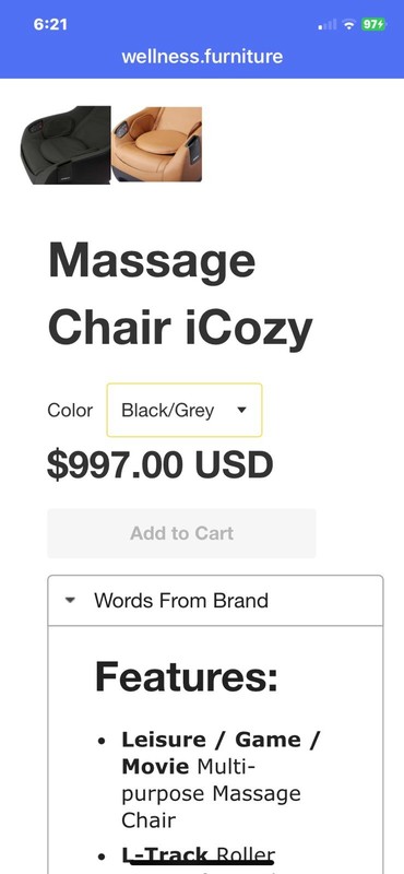 APEX iCOZY massage Chair gallery