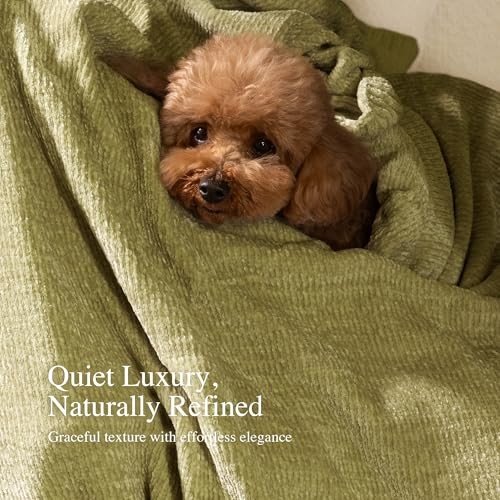 Chenille Blanket for Couch, Cozy Soft Blanket Lightweight Throw Sage Green gallery