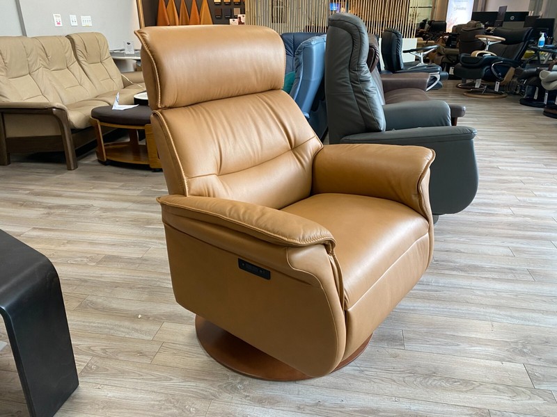 IMG Sedona Ergo Lift Chair Recliner - XL Relaxer - 2 motor Trend Nature Leather gallery