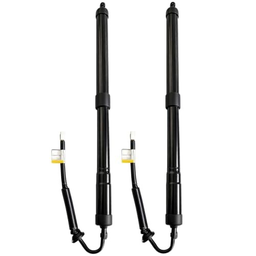 2Pcs Left & Right Side Rear Tailgate Power Lift Support Shock Strut Compatible gallery