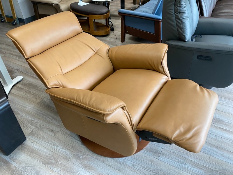IMG Sedona Ergo Lift Chair Recliner - XL Relaxer - 2 motor Trend Nature Leather gallery