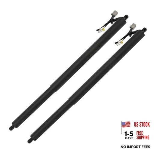 Rear Left Power Hatch Lift Support Compatible with 2013-2019 Escape, Electric